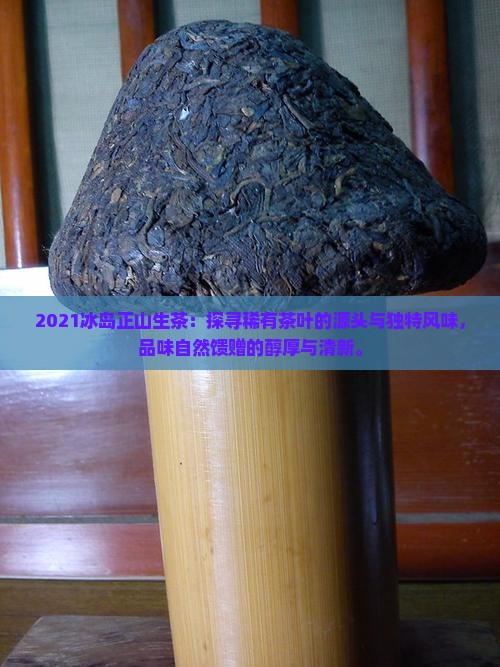 2021冰岛正山生茶