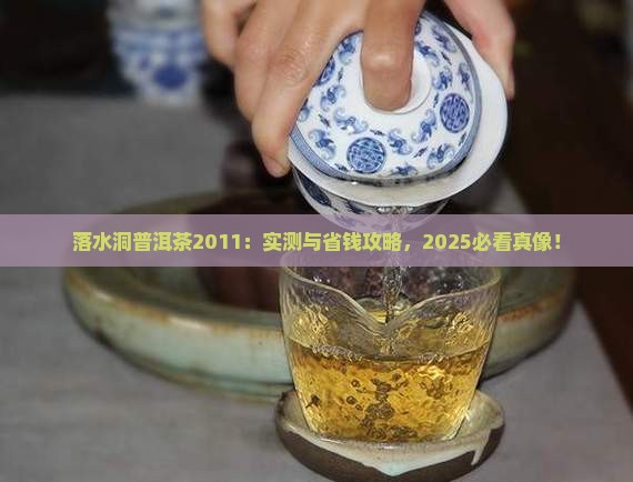 落水洞普洱茶2011
