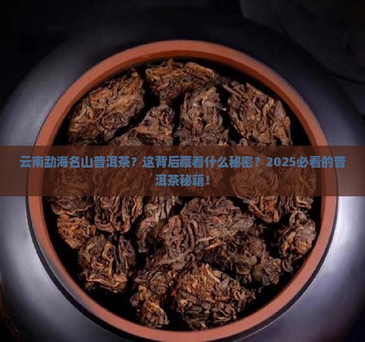 云南勐海名山普洱茶