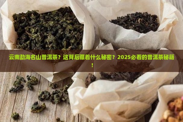 云南勐海名山普洱茶