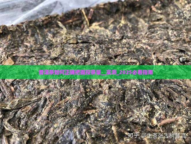 普洱茶如何正确把握投茶量