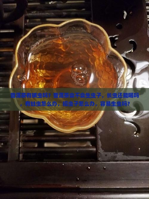 普洱茶有螨虫吗
