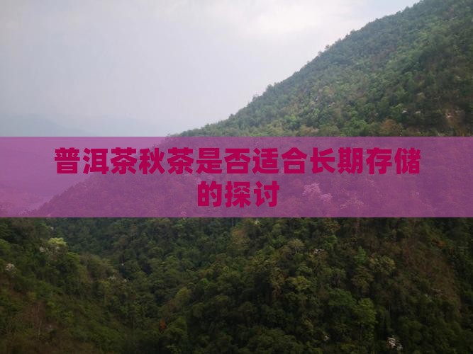 普洱秋茶适合存吗