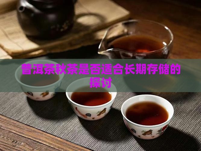 普洱秋茶适合存吗