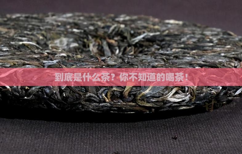 普洱茶网是什么茶
