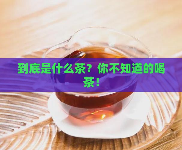 普洱茶网是什么茶