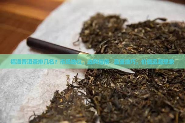 福海普洱茶排几名