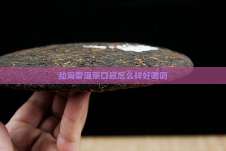 勐海创牌普洱茶怎么样好喝吗