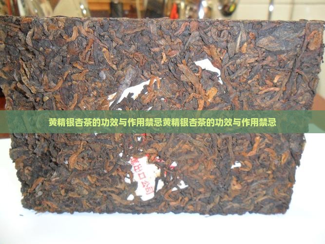 黄精银杏茶的功效与作用禁忌