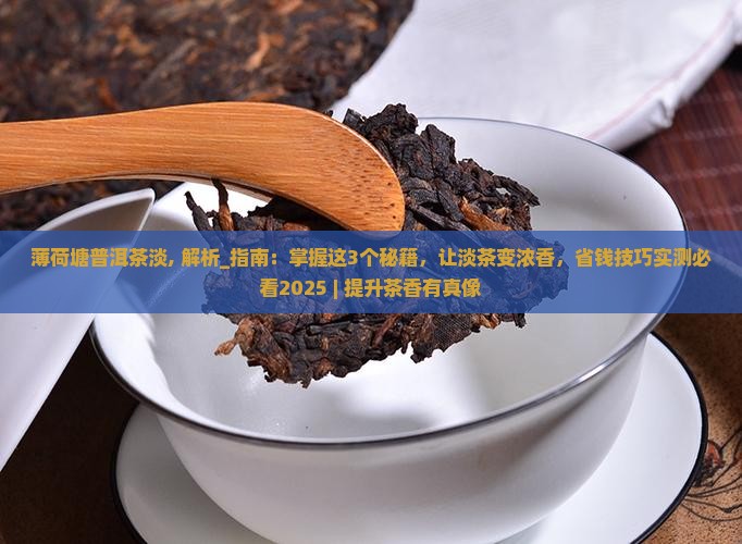 薄荷塘普洱茶淡