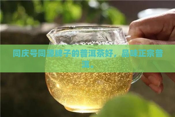 同源号牌子的普洱茶好