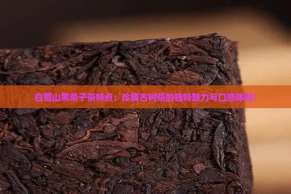 白莺山黑条子茶特点