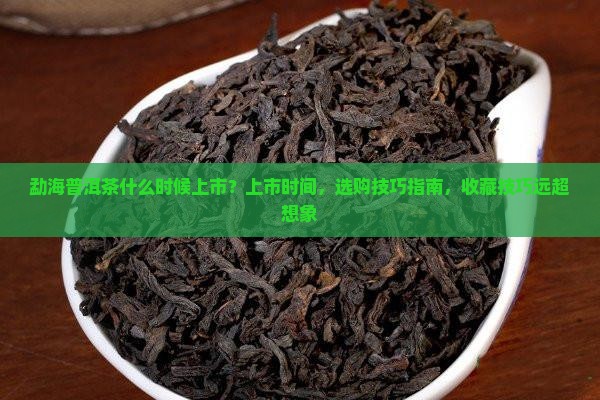 勐海普洱茶什么时候上市