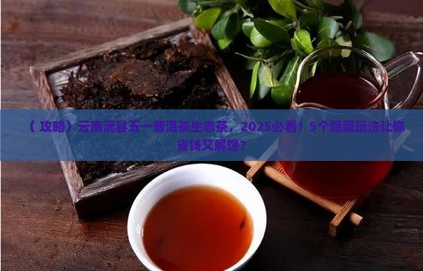 云南沅县五一普洱茶生态茶