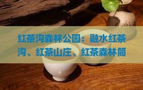 红茶沟国家森林公园