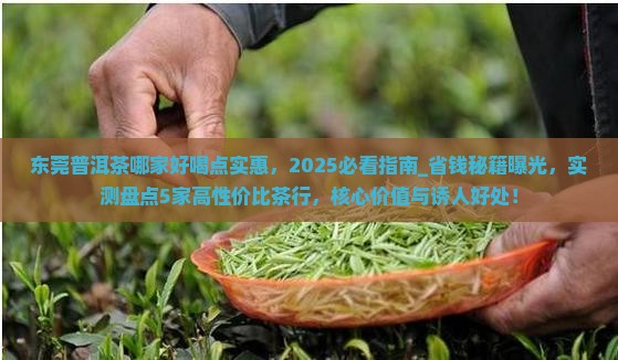 东莞普洱茶哪家好喝点实惠