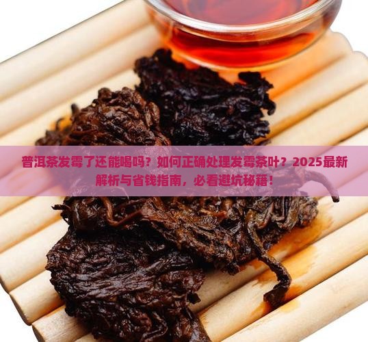 普洱茶有的发霉了怎么办