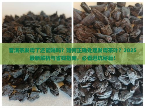 普洱茶有的发霉了怎么办