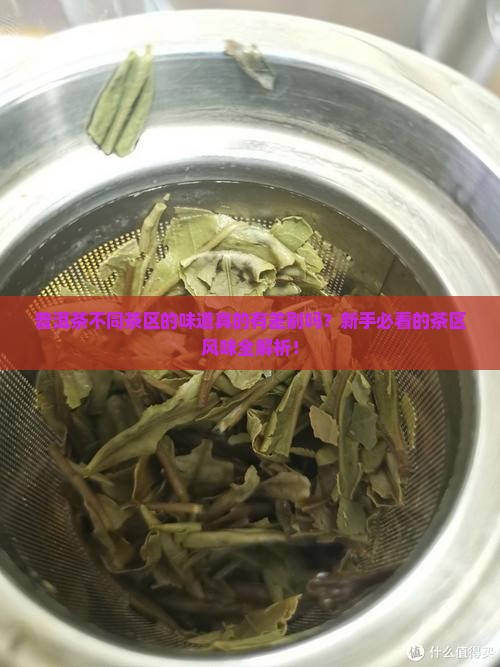 普洱茶不同茶区的味道