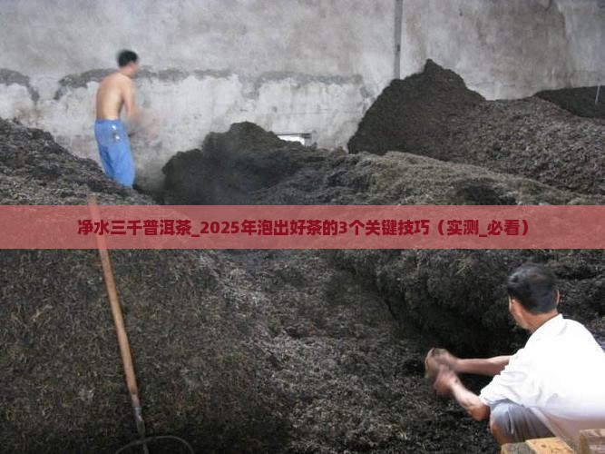 净水三千普洱茶