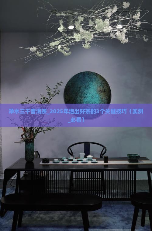 净水三千普洱茶