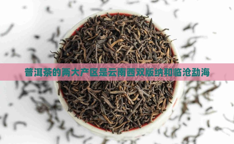 普洱茶的两大产区是