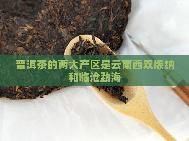 普洱茶的两大产区是