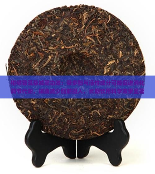 柑橘普洱茶能减肥吗