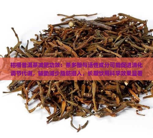 柑橘普洱茶能减肥吗