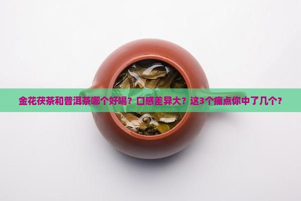 金花茯茶和普洱茶那个好喝