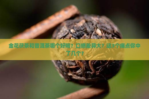 金花茯茶和普洱茶那个好喝