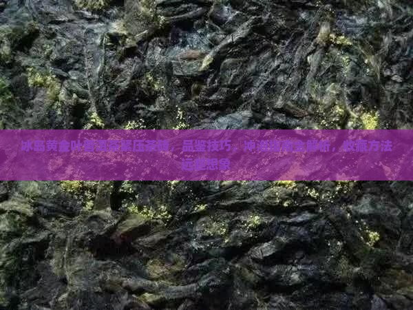 冰岛黄金叶普洱茶紧压茶砖