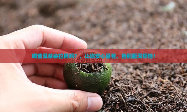 喝普洱茶会拉稀吗