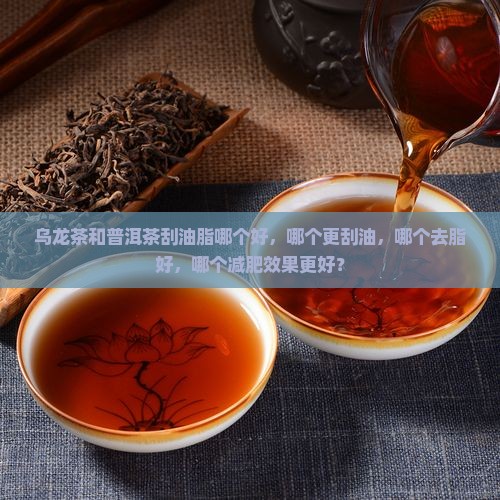 乌龙茶和普洱茶刮油脂哪个好