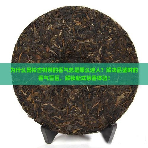 曼松古树茶香气的特点