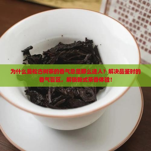 曼松古树茶香气的特点