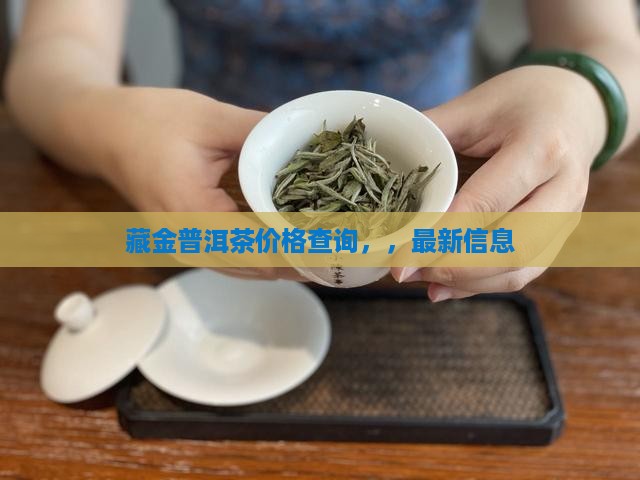 藏金普洱茶价格查询