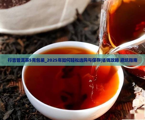 行吉普洱茶5克独立包装