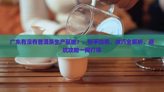 广东有没有普洱茶生产基地