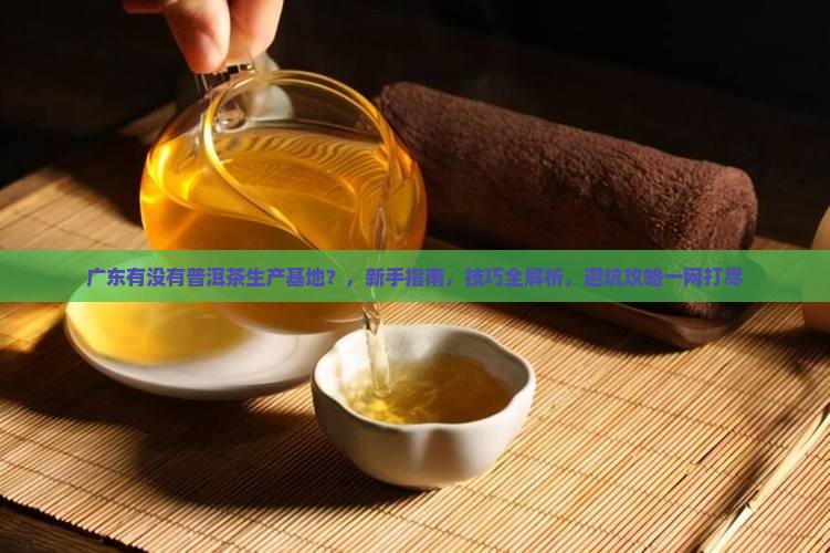 广东有没有普洱茶生产基地
