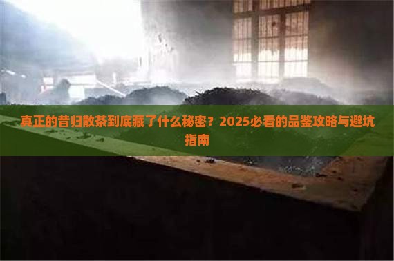 真正的昔归散茶