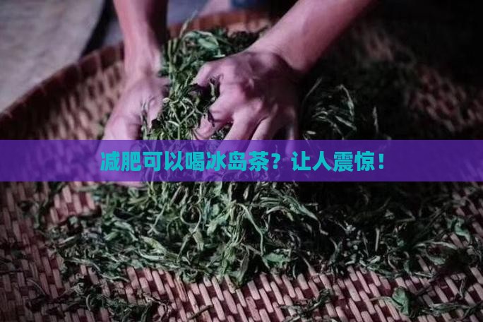 减肥可以喝冰岛茶