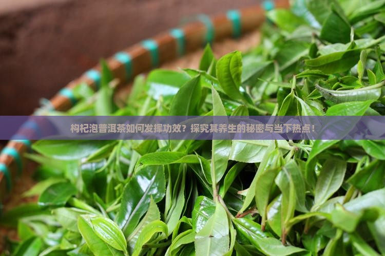 构杞泡普洱茶如何发挥功效？探究其养生的秘密与当下热点！