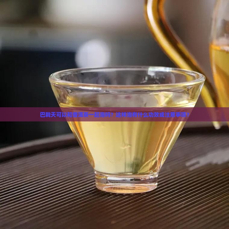 巴戟天可以和普洱茶一起泡吗？这样泡有什么功效或注意事项？