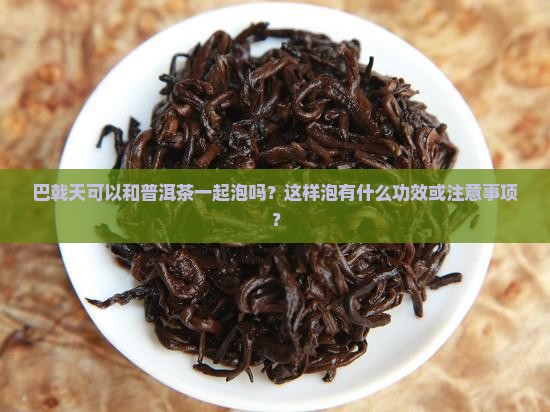 巴戟天可以和普洱茶一起泡吗？这样泡有什么功效或注意事项？