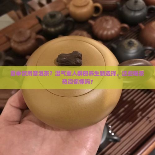 夏季饮用普洱茶？湿气重人群的养生新选择，这些喝茶热词你懂吗？