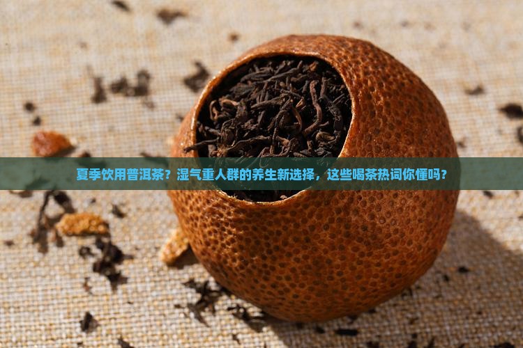 夏季饮用普洱茶？湿气重人群的养生新选择，这些喝茶热词你懂吗？