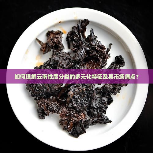 如何理解云南性质分类的多元化特征及其市场痛点？
