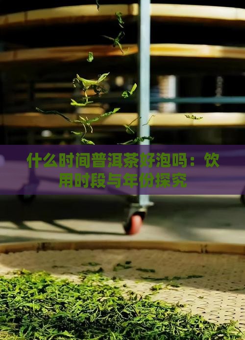 什么时间普洱茶好泡吗：饮用时段与年份探究