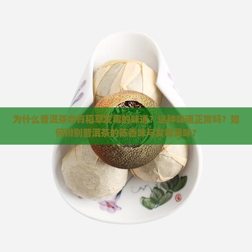 为什么普洱茶会有稻草发霉的味道？这种味道正常吗？如何辨别普洱茶的陈香味与发霉异味？